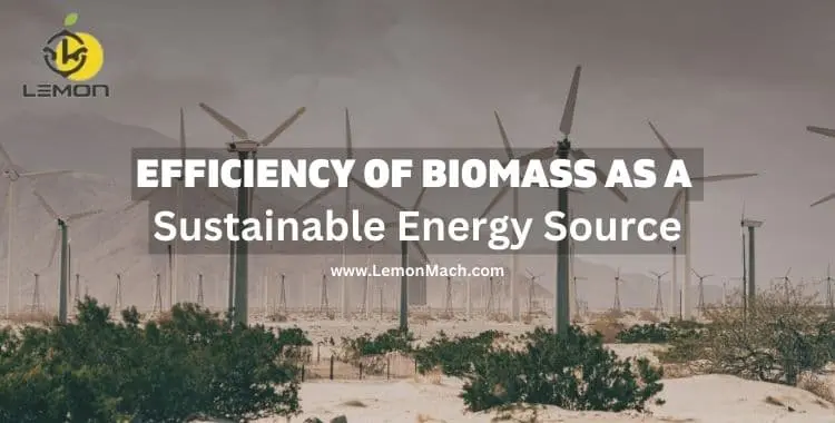 Make Biomass Energy More Efficient